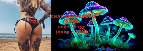 спиды Верея