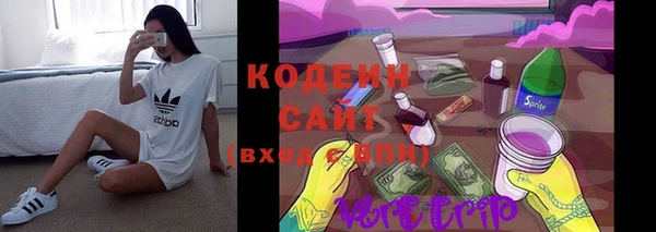 спиды Верея