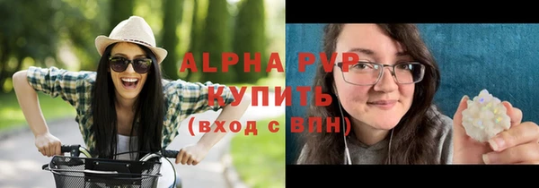 спиды Верея
