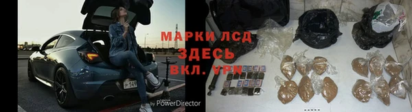 спиды Верея