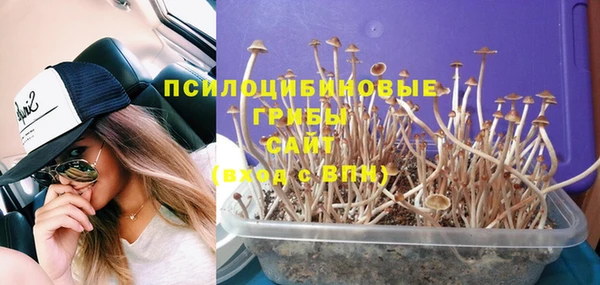 стаф Верхнеуральск