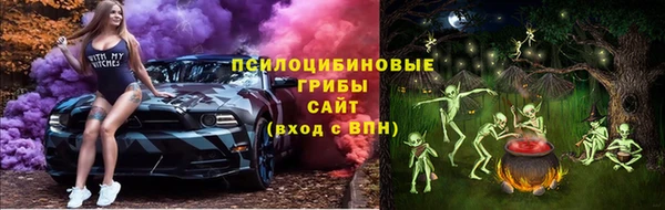 спиды Верея