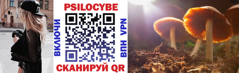 Галлюциногенные грибы Psilocybe  цены наркотик  Казань 